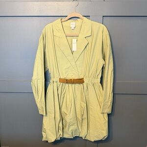 Maeve Light Green Long Sleeve Dress with Tan Belt (Anthropologie)